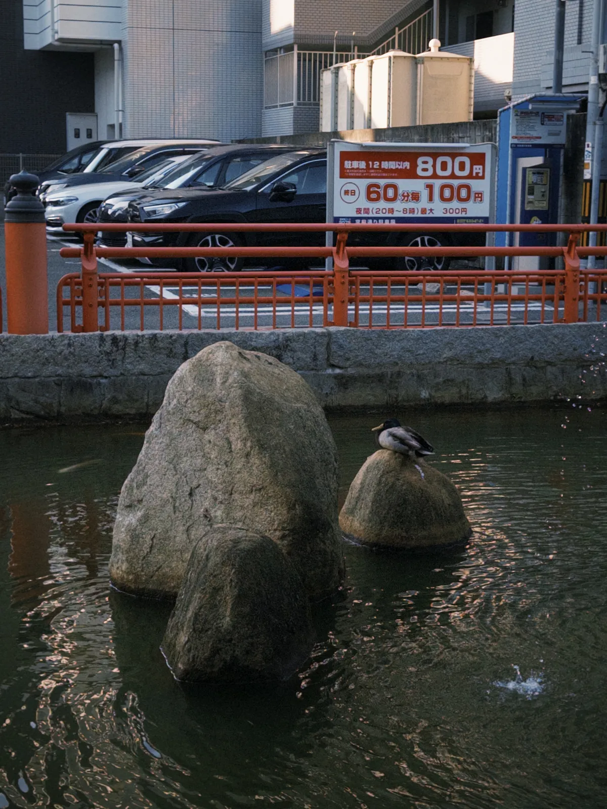 fxn 2025-04-29 175205