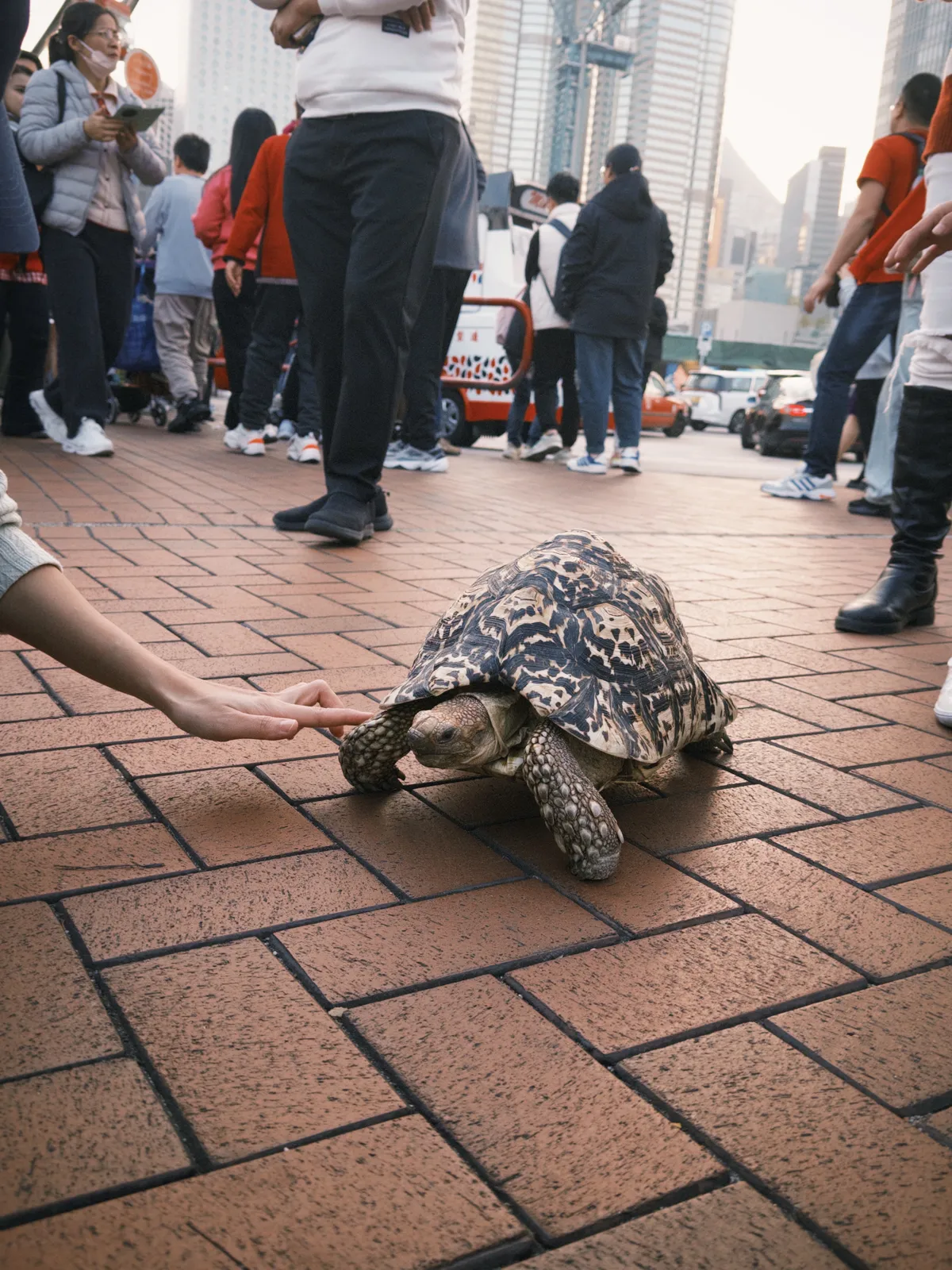 fxn 2025-01-19 173115