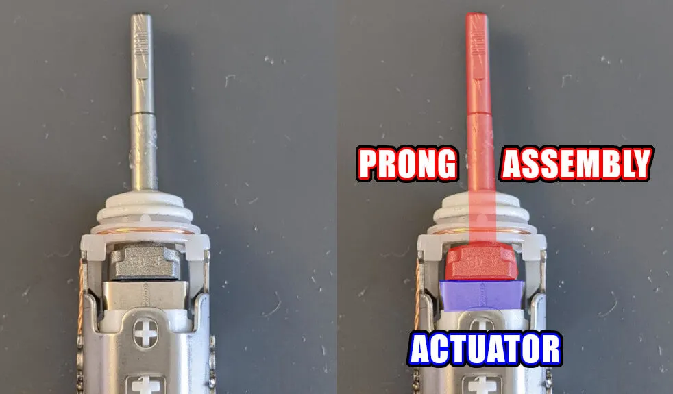 toothbrush-back