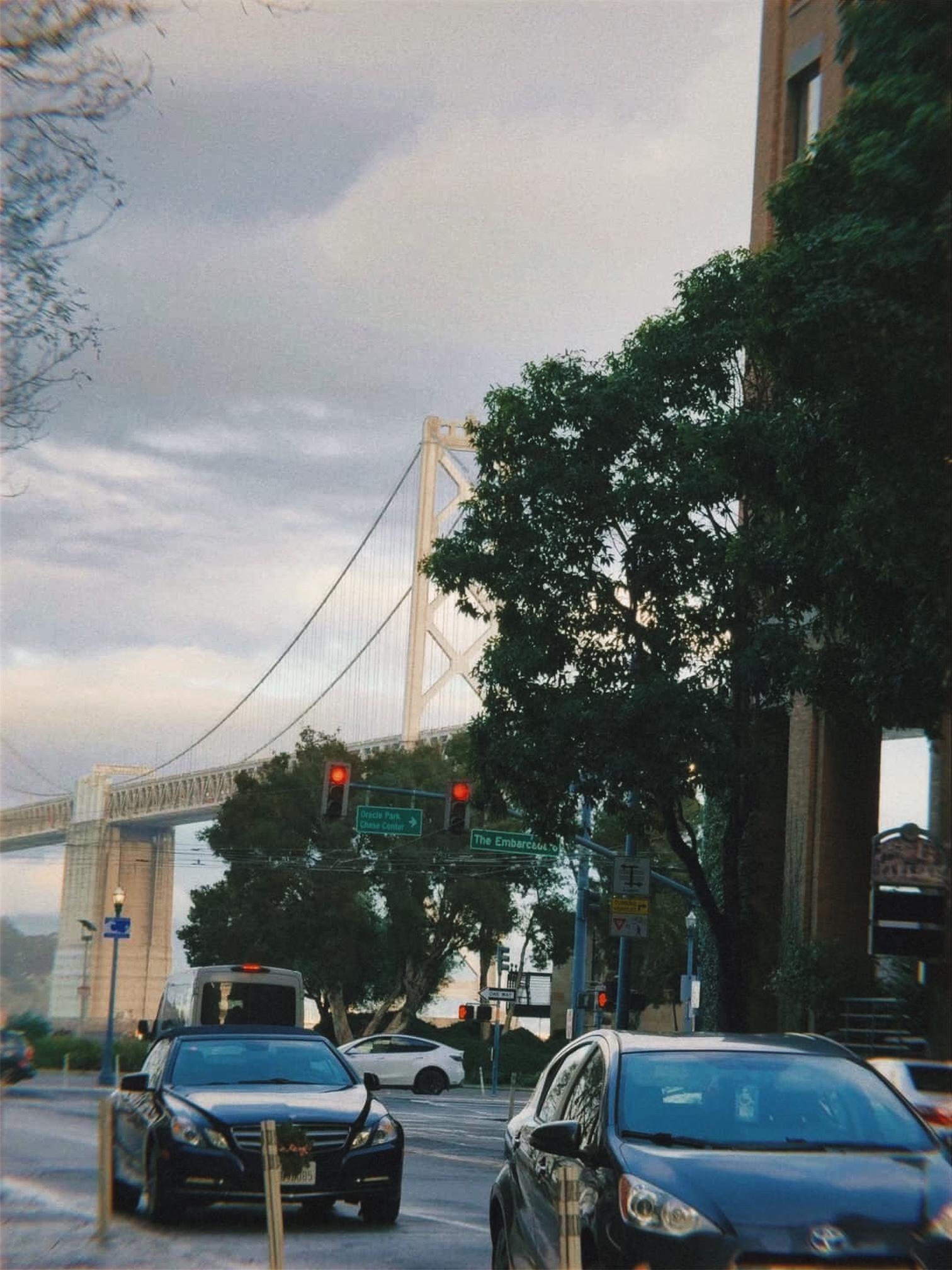 Street view photo of a white bridge peeking from the trees on the right
