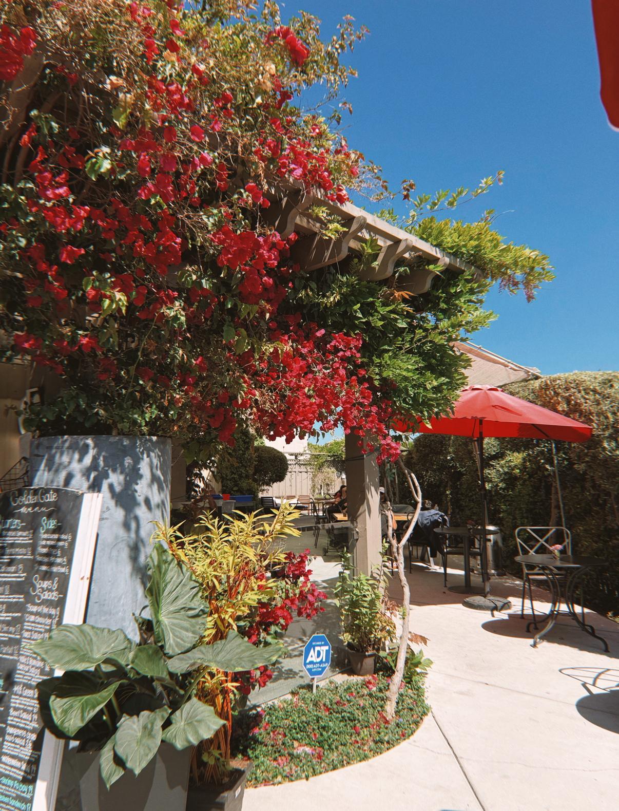 A sunny outdoor café scene featuring vibrant red bougainvillea flowers cascading over a structure. There is a chalkboard menu nearby and lush greenery surrounding the entrance. Outdoor seating with tables and chairs can be seen under a bright red umbrella.
