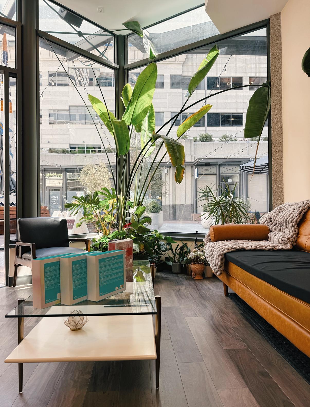 A modern, sunlit lounge area features large windows with tropical plants, a leather sofa, and a glass coffee table