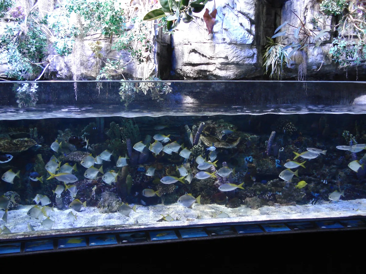 DSC01303