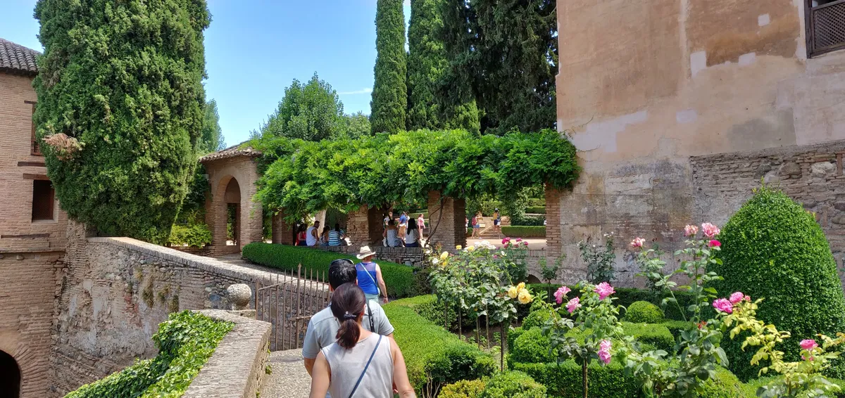 IMG_20190726_154549
