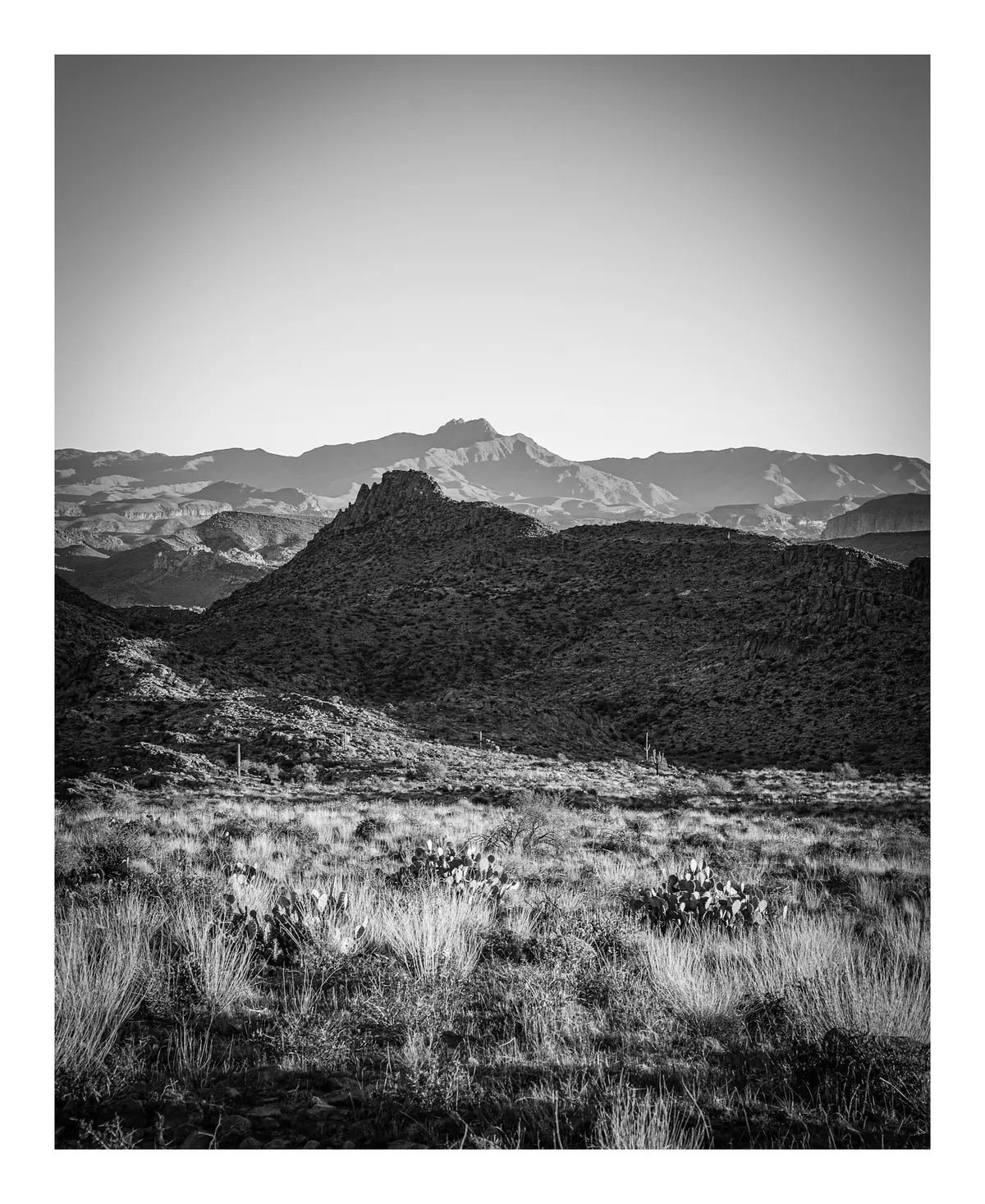 desertlandscape