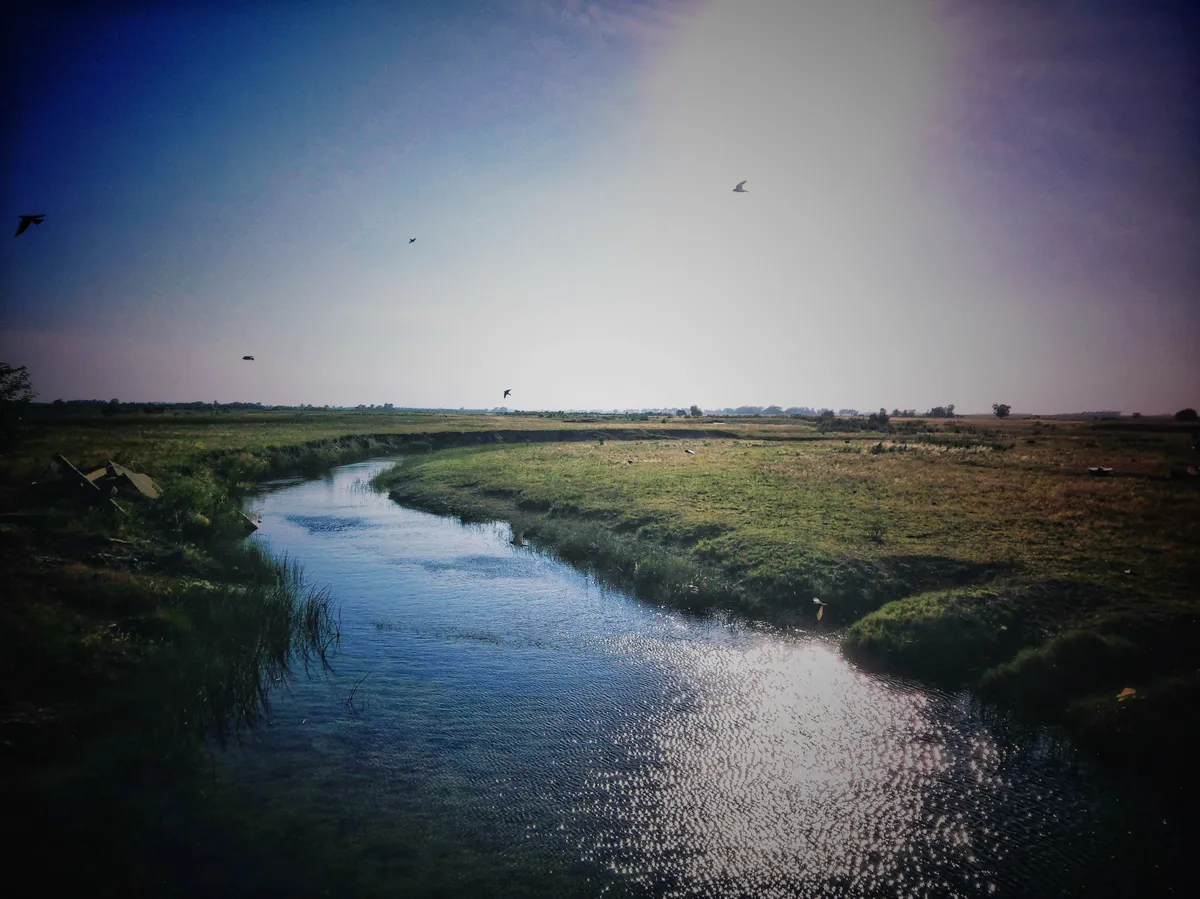 rattlesnake_papershoot