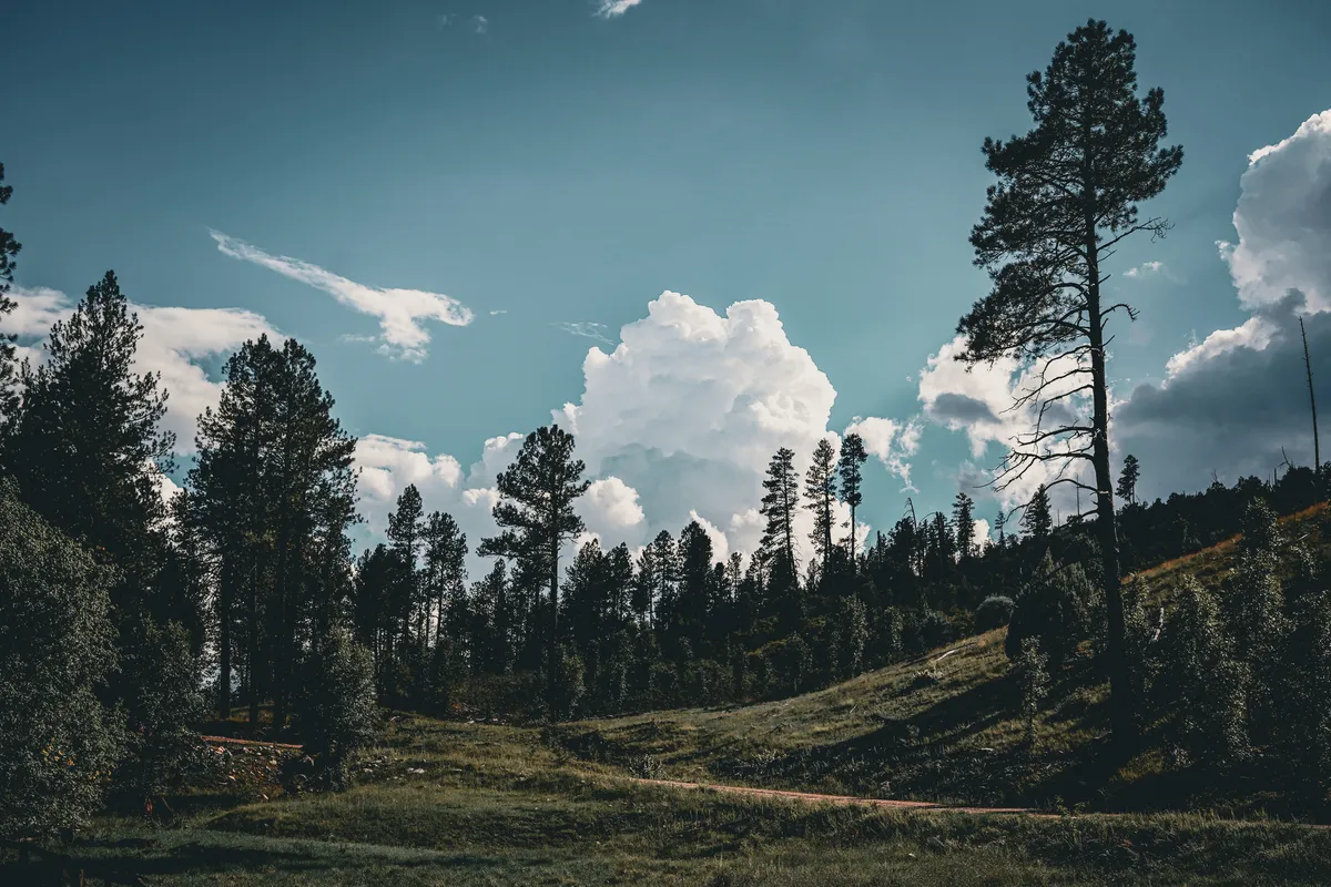rimcountry