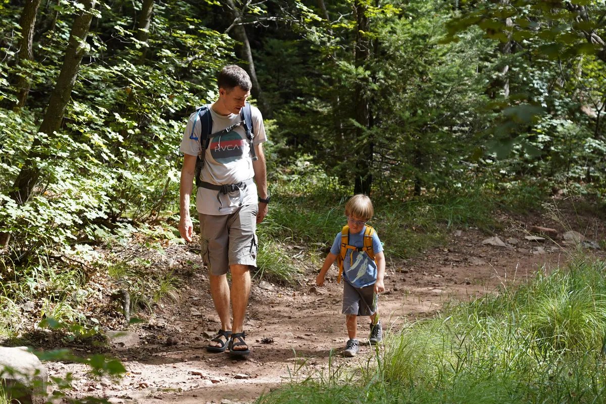 walkintheforest
