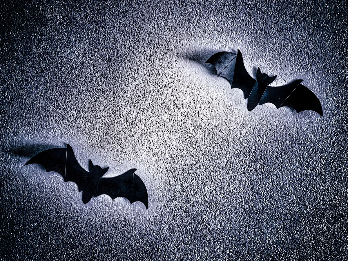 bats