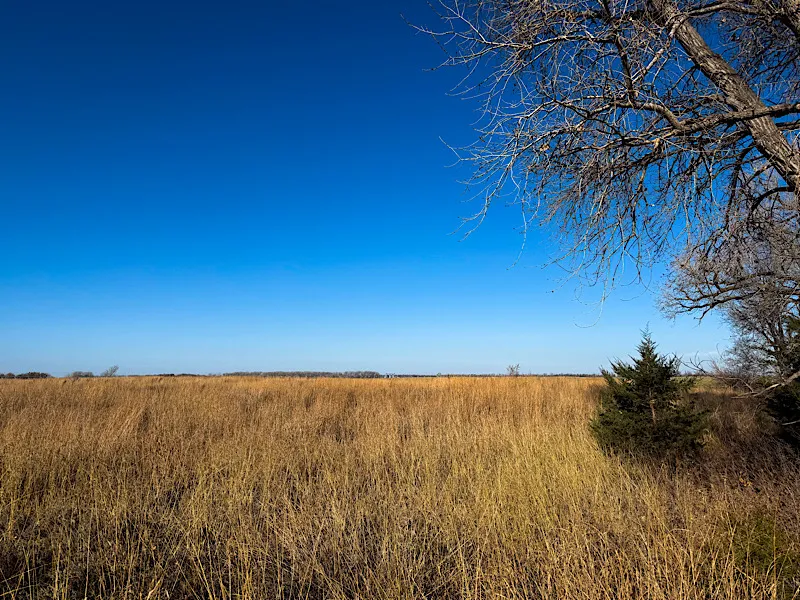 IMG_2025-11-23-143245