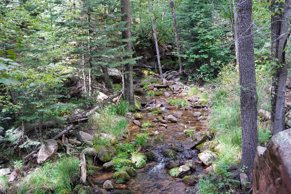 seespringcreek