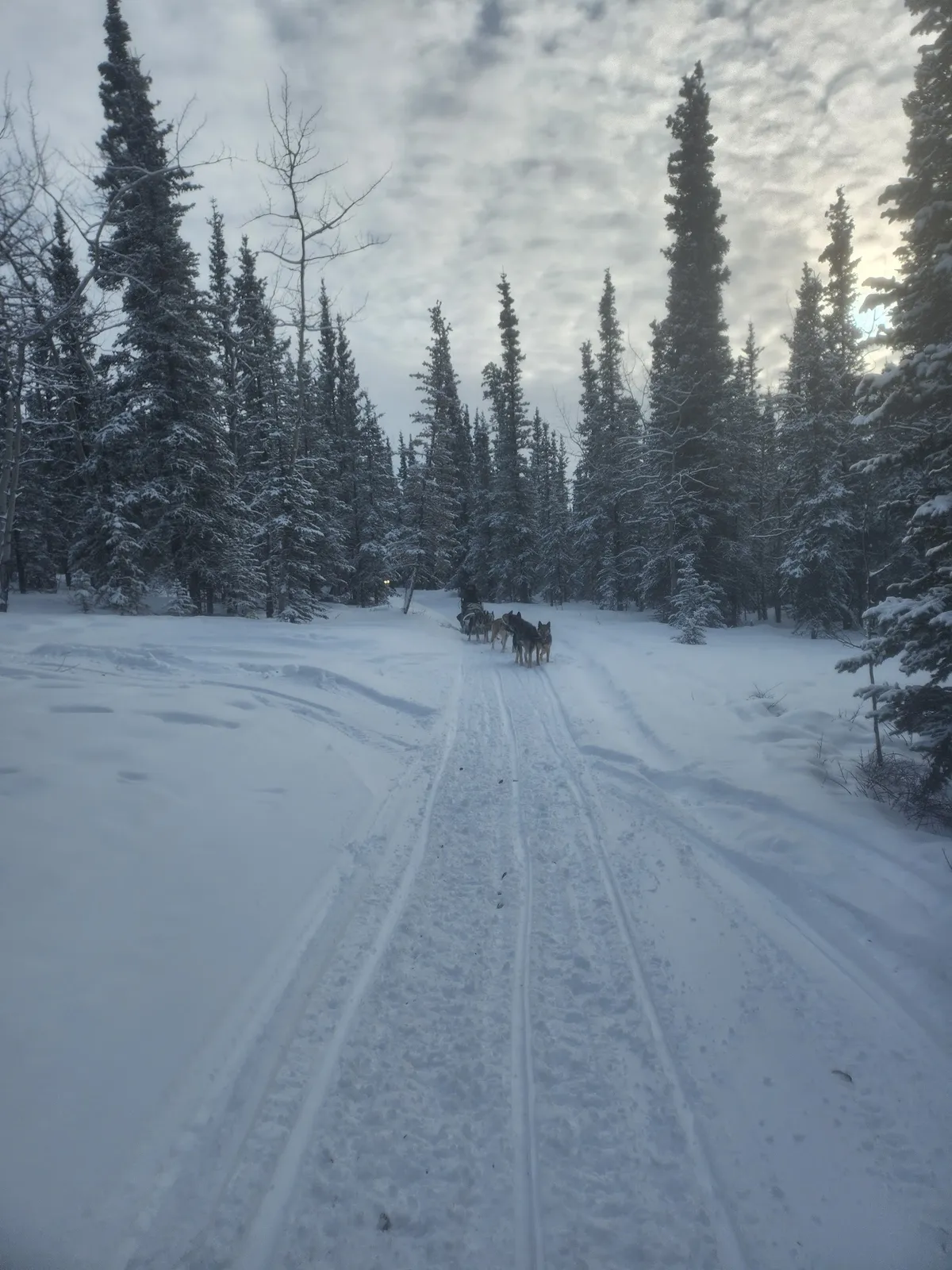 image-11