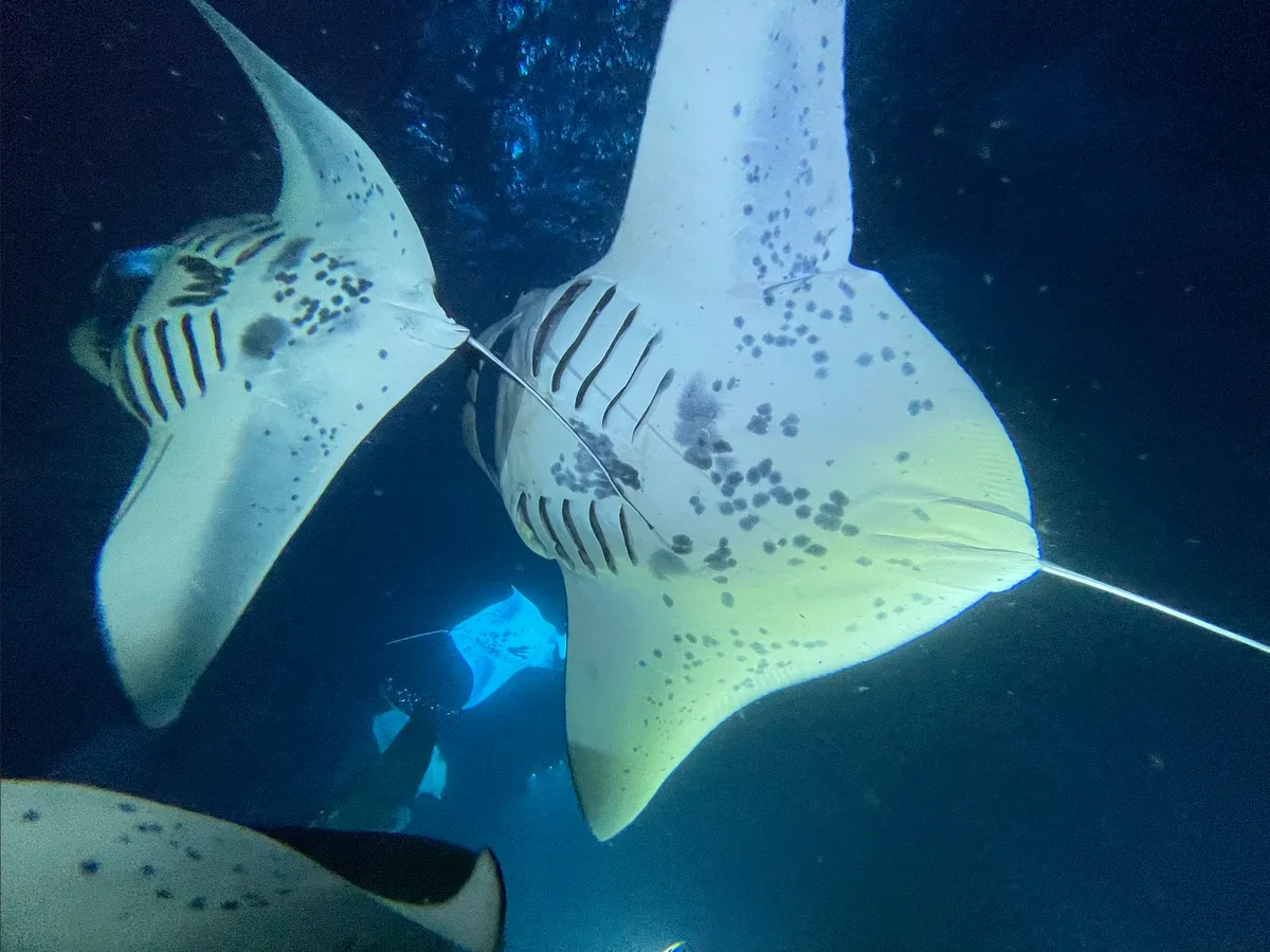 Pasted image 20260314124823