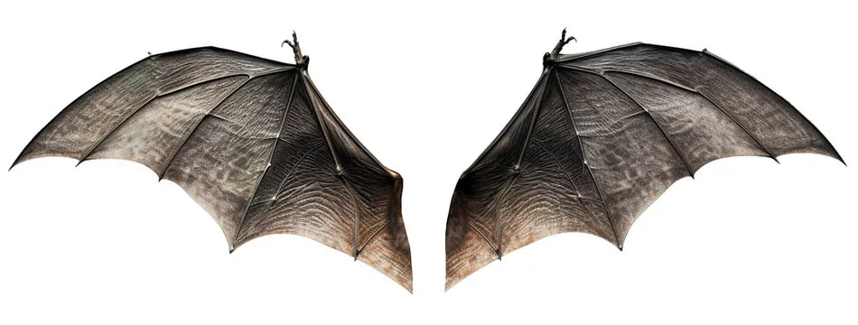 360_F_620589019_diurcB0XxggogKPBejmxbcSxBOGTbkf8