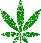 weed-2