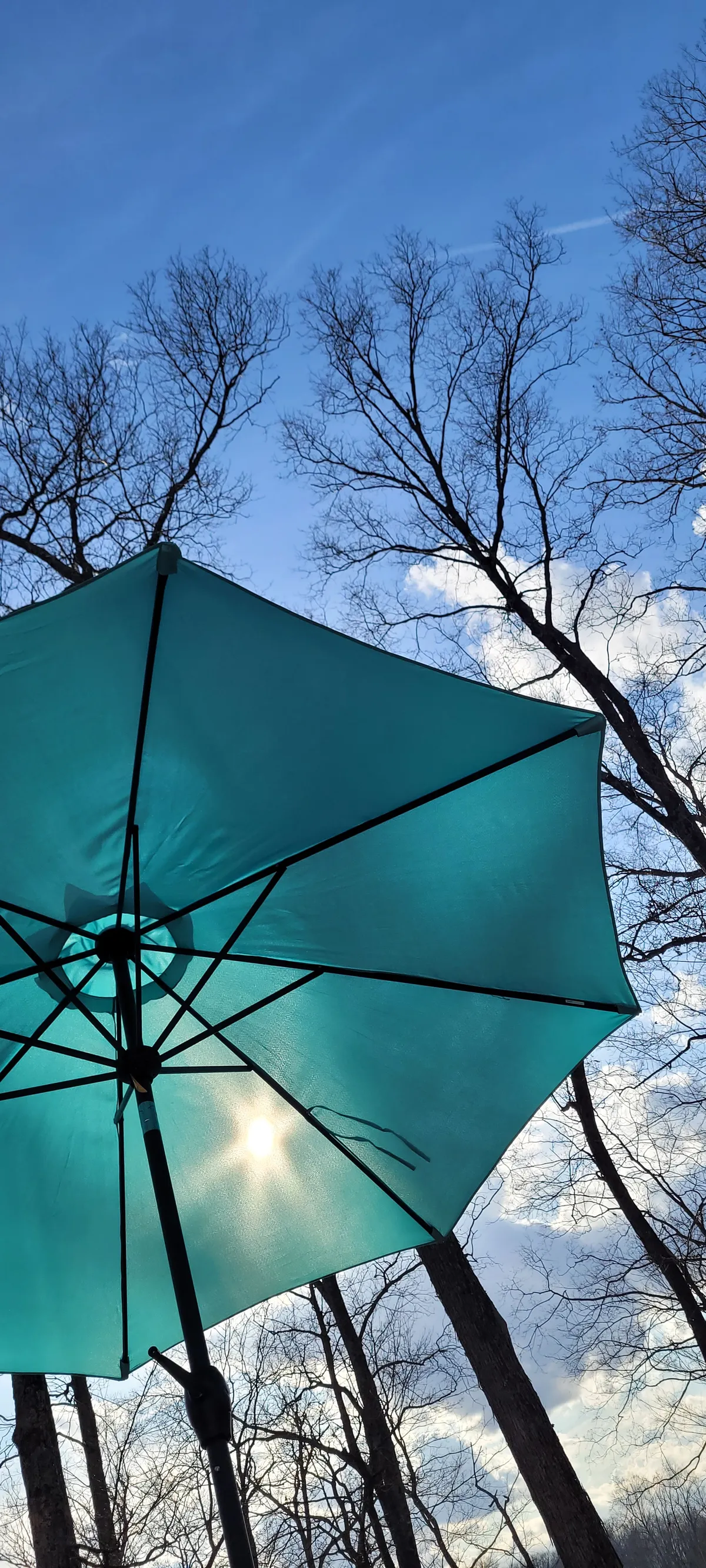 5e0d36a0-20aa-4e9c-9e4e-5e783a71e686