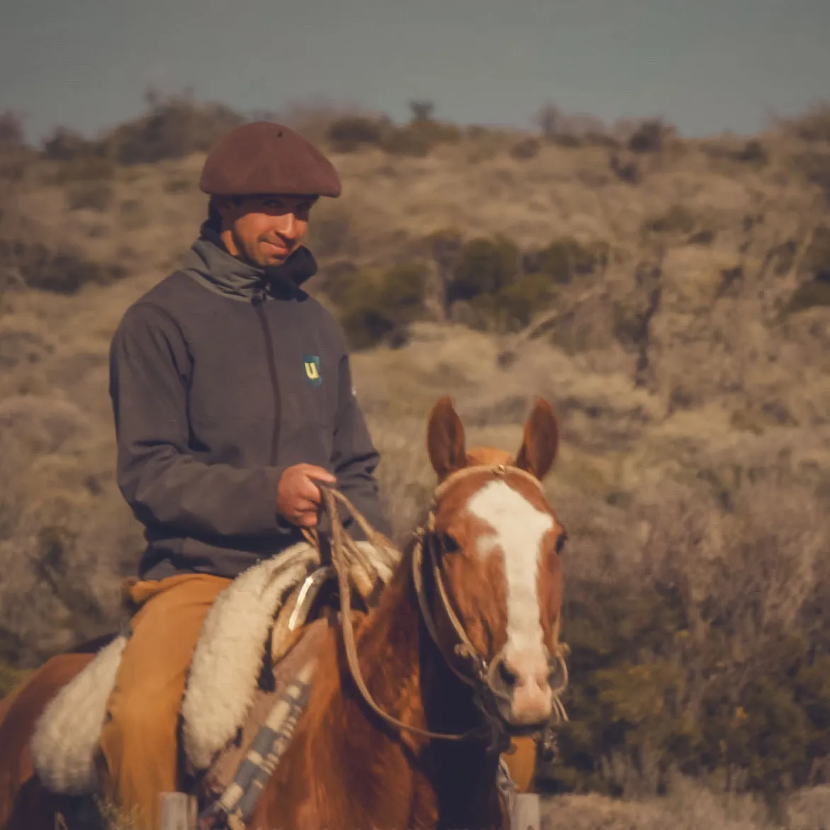 Gaucho