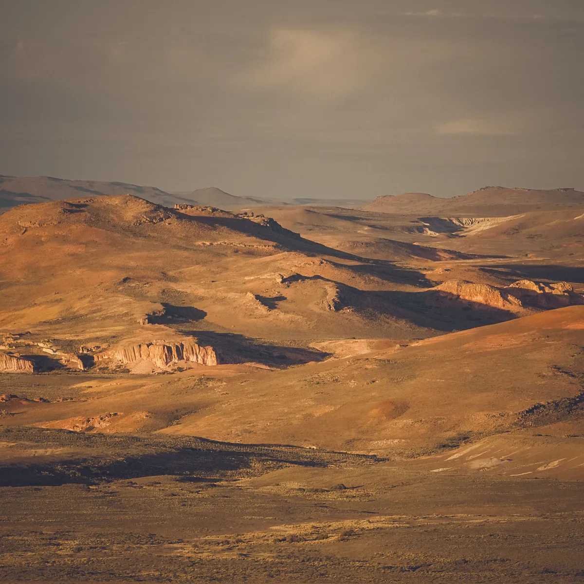 The Endless Steppe