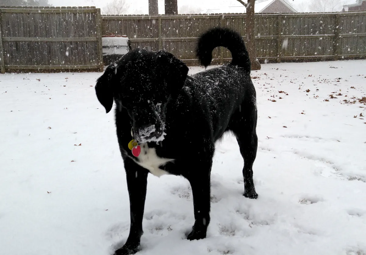 02 - Cam Loving the Snow