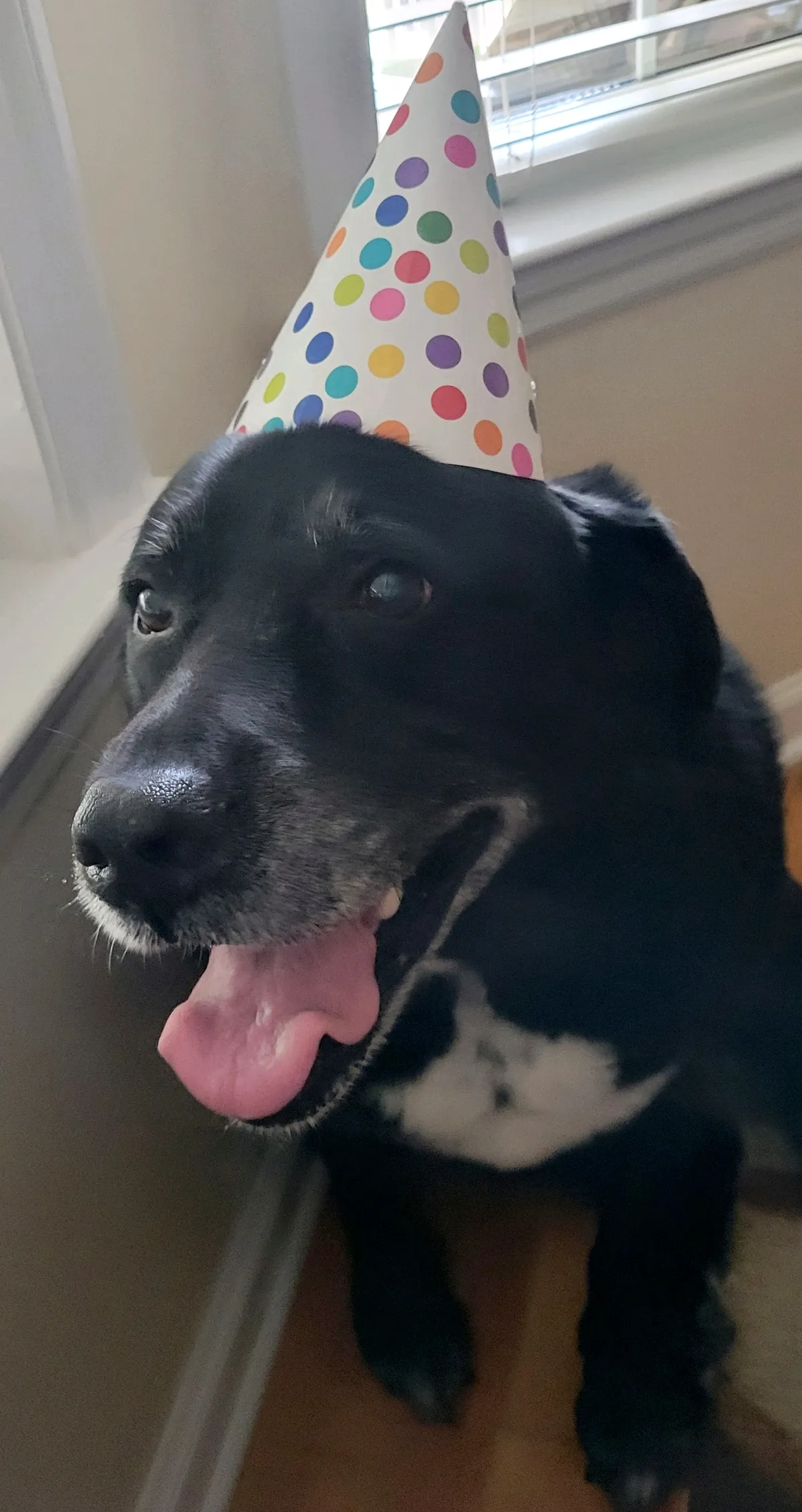 5 - Cam at my Birthday