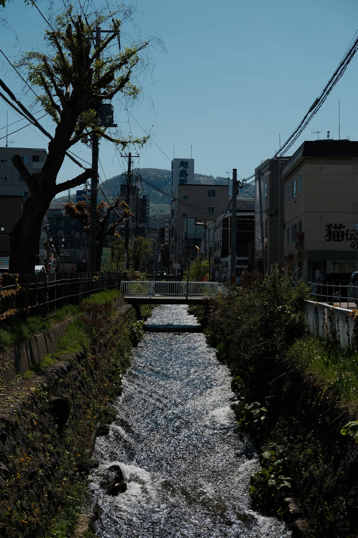 DSCF1217-2