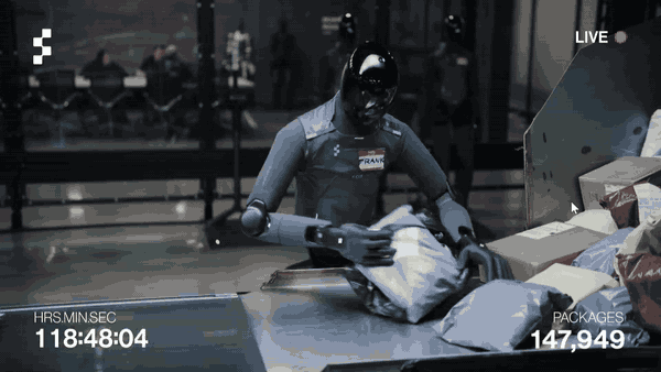 Humanoid Robot Sorting Packages