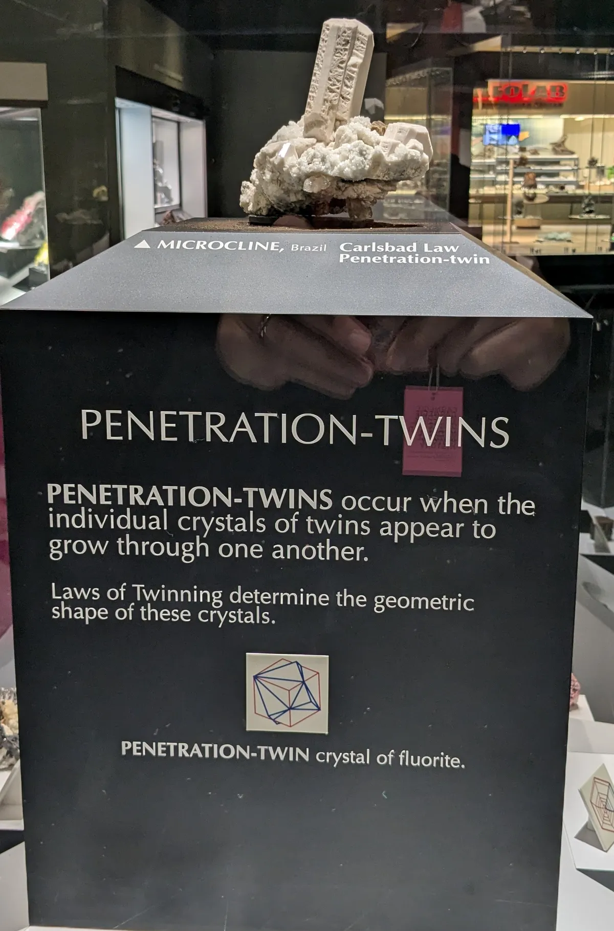 PXL_20250507_152914308