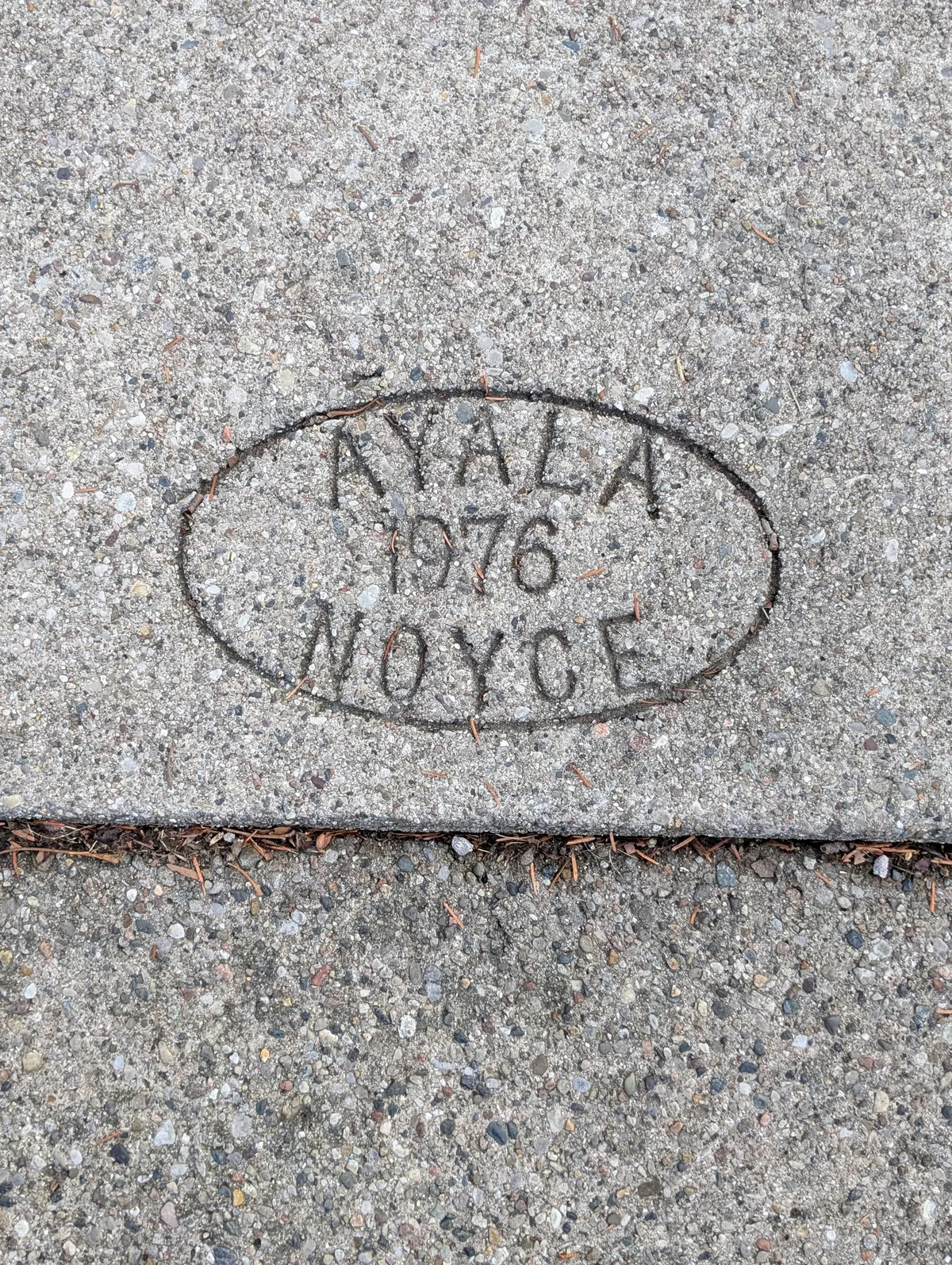 PXL_20251121_204003961