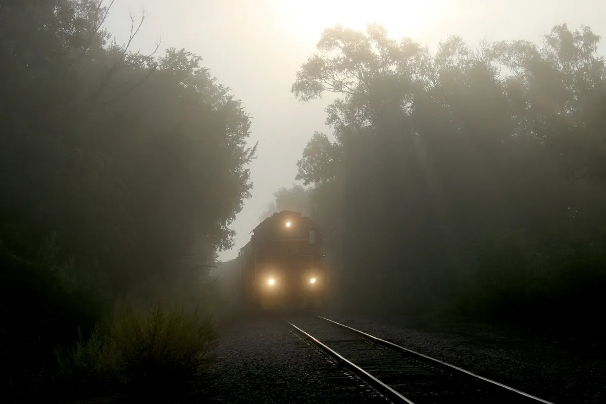 train-coming-on-tracks