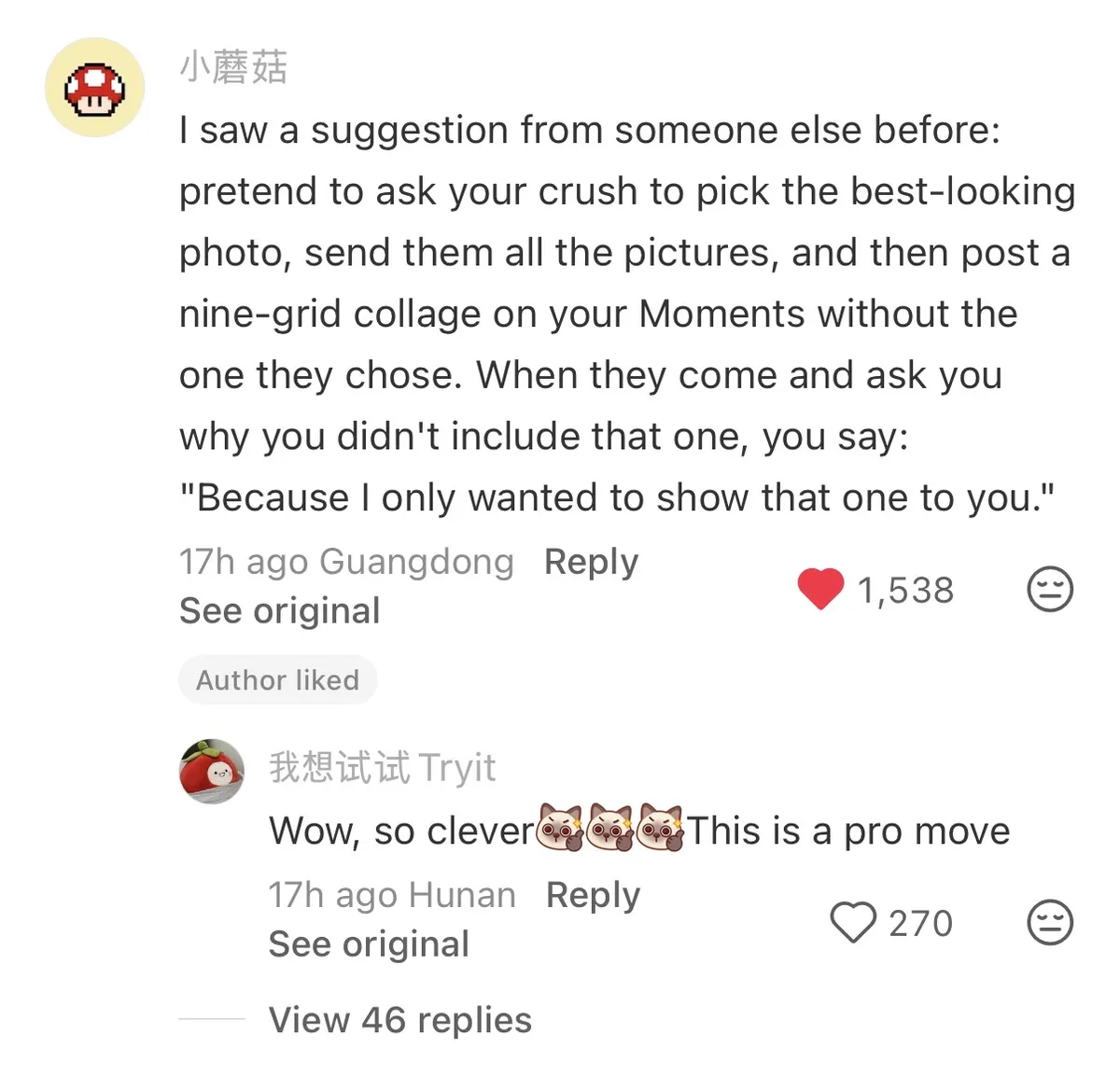 小红书 Holy Insight 1