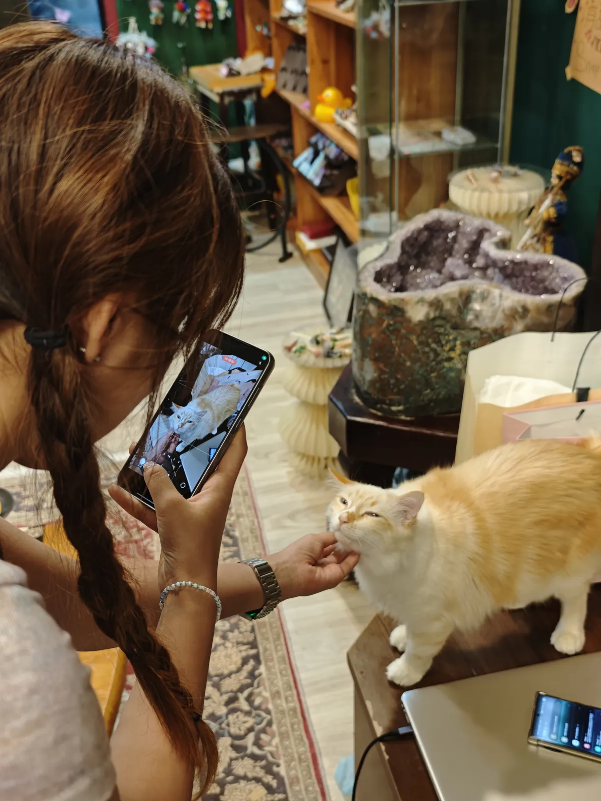 Miss_K_Cat