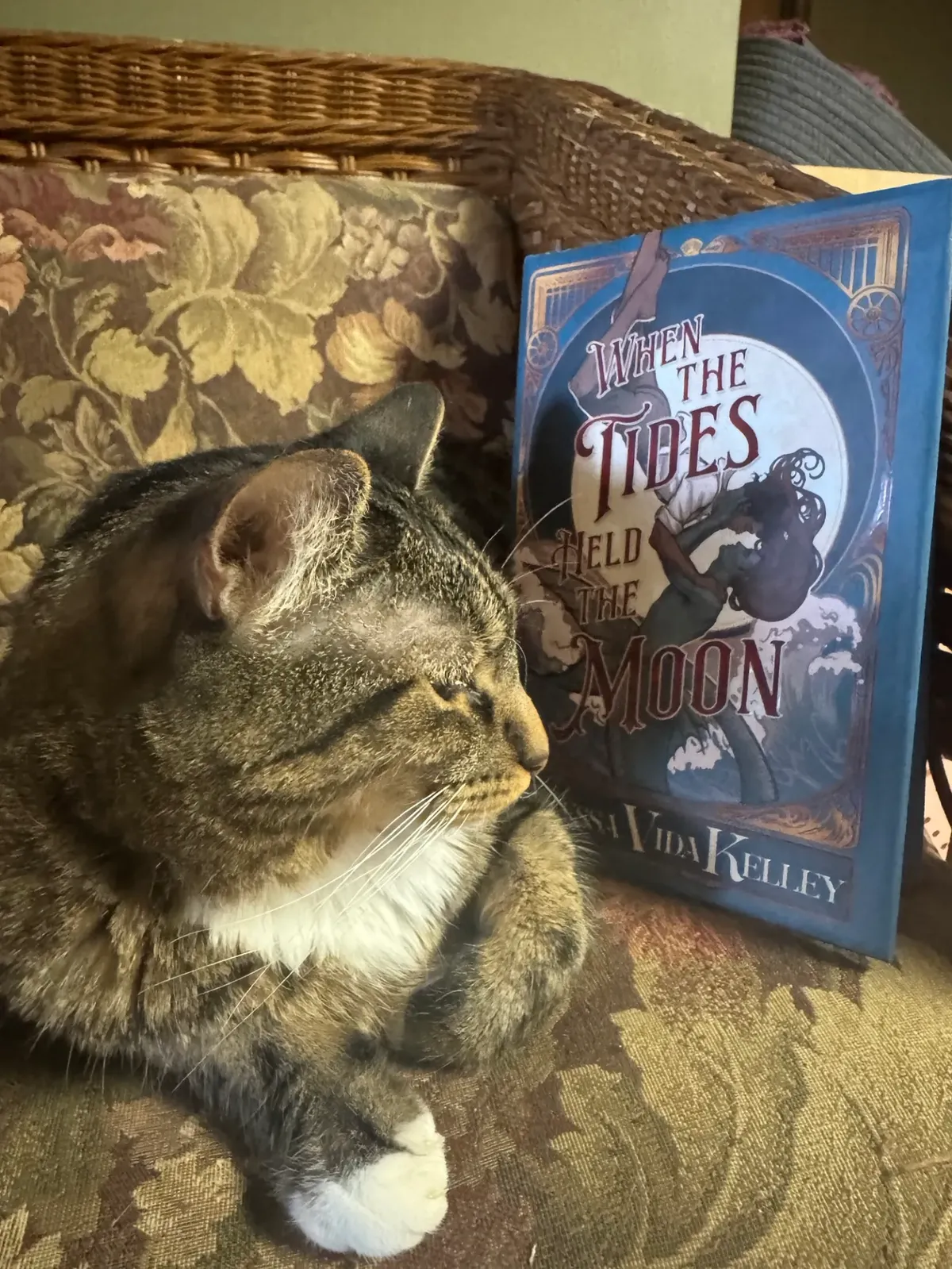The book When the Tides Held the Moon propped up on a wicker chair with vintage floral cushions beside a sleepy grey striped cat with a white neck and white paws.