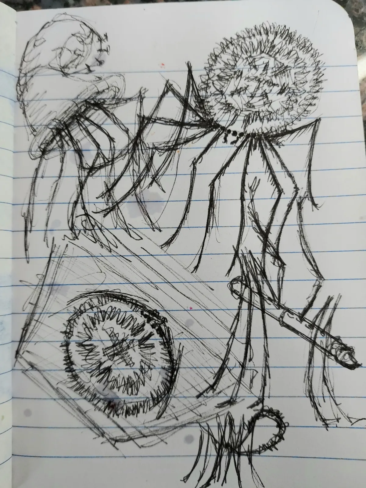 20260717_101524