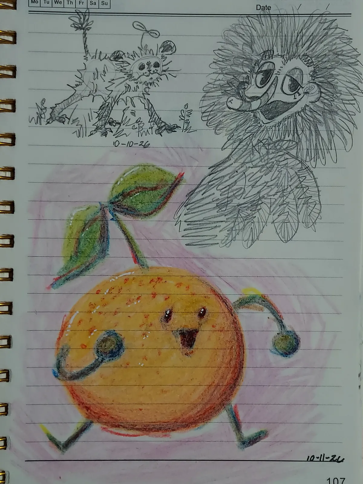 20261013_214713