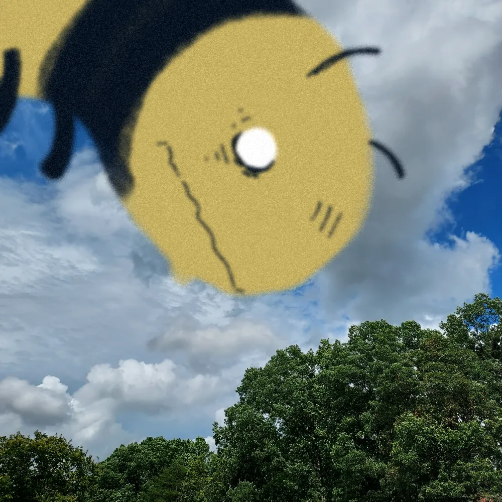 Project (20250813043108)