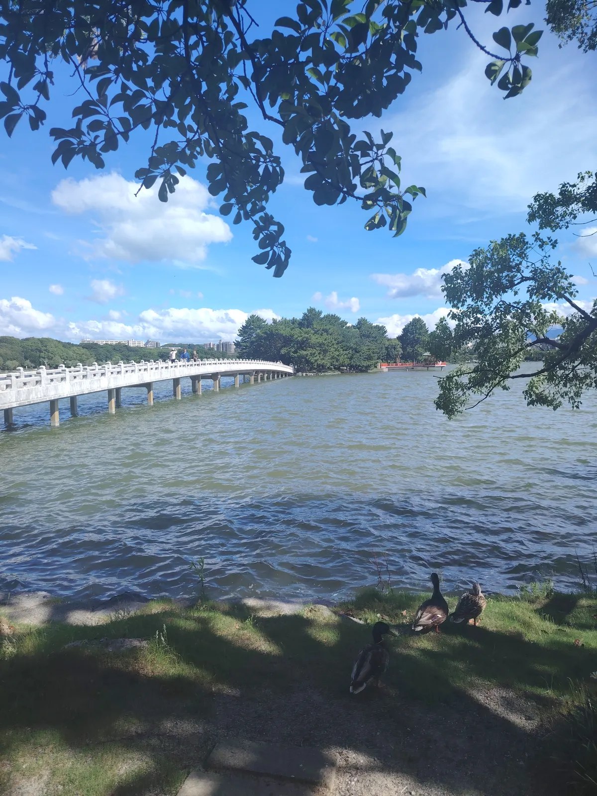 a scenic view of a lake in japan. There's a small island in the middle of the lake with a bridge leading to it.