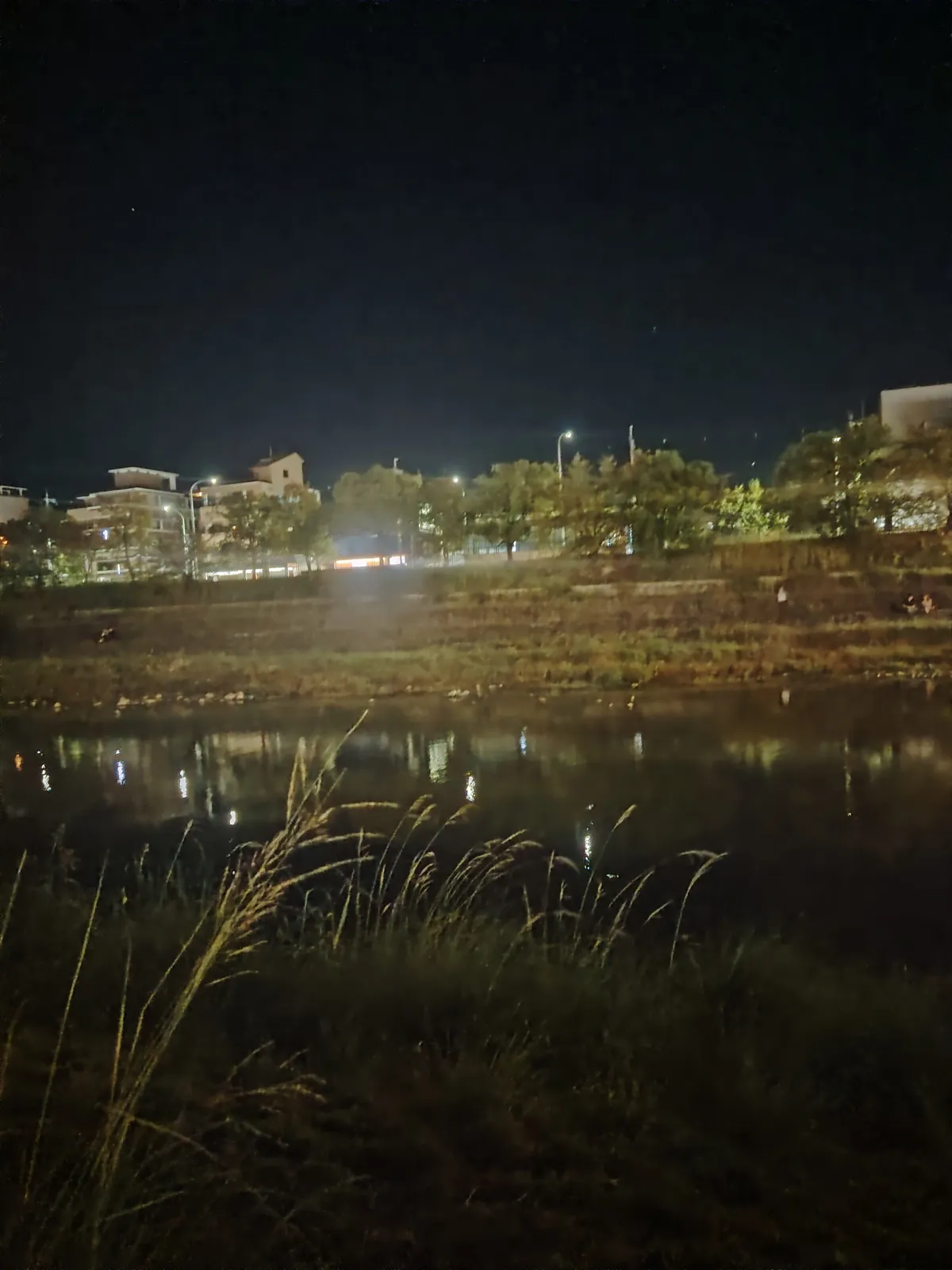 the japanese riverside at night.