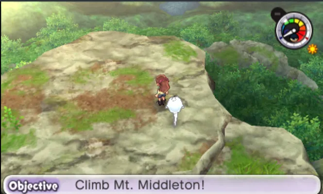 The peak of mount middleton, a tall mountain, despite the name. We're looking out over the forest below.