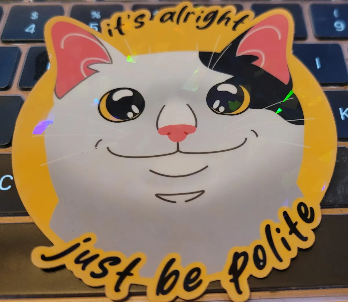 A shiny holographic sticker with an illustration of a black and white cat that has one of those "I cannot be dealing with all of this right now but I also cannot say no" smiles on its face. Around the top, it says "it's alright" and around the bottom it says "just be polite"