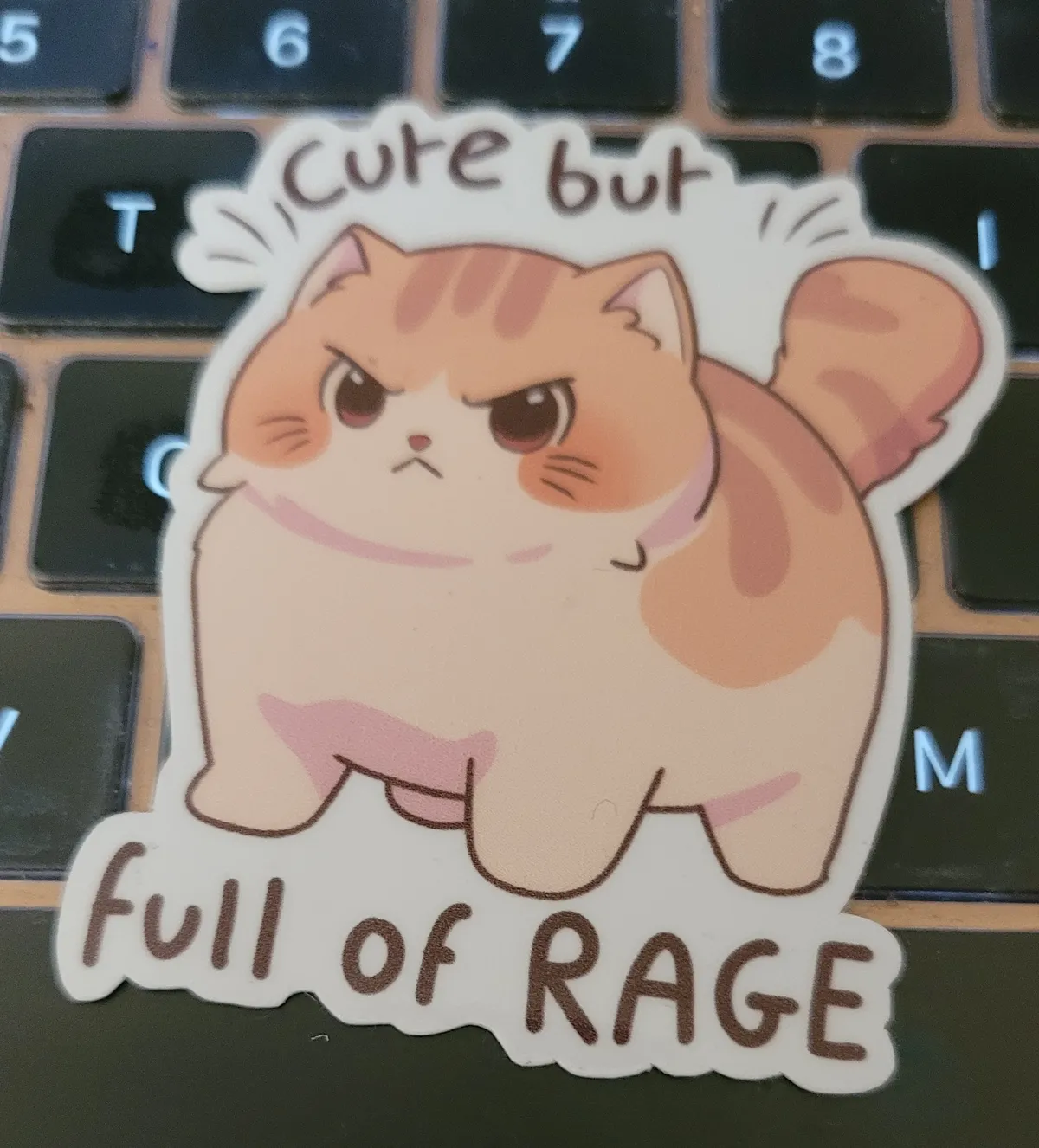 A very cute illustration of a very angry orange striped kitten. The text around it says 