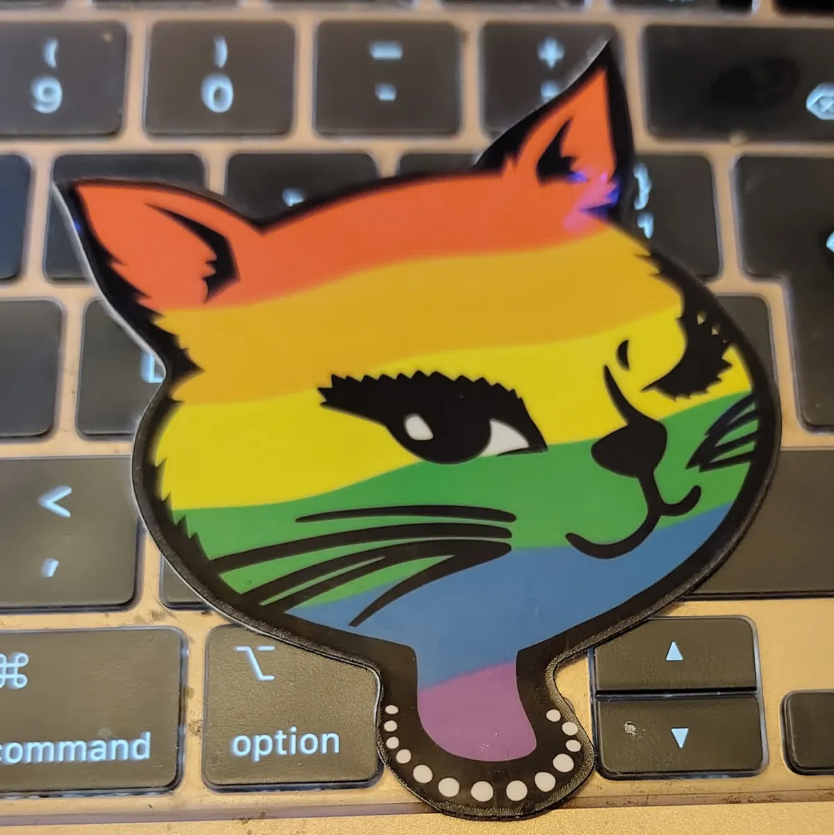An illustration of a cat winking, coloured like the rainbow pride flag