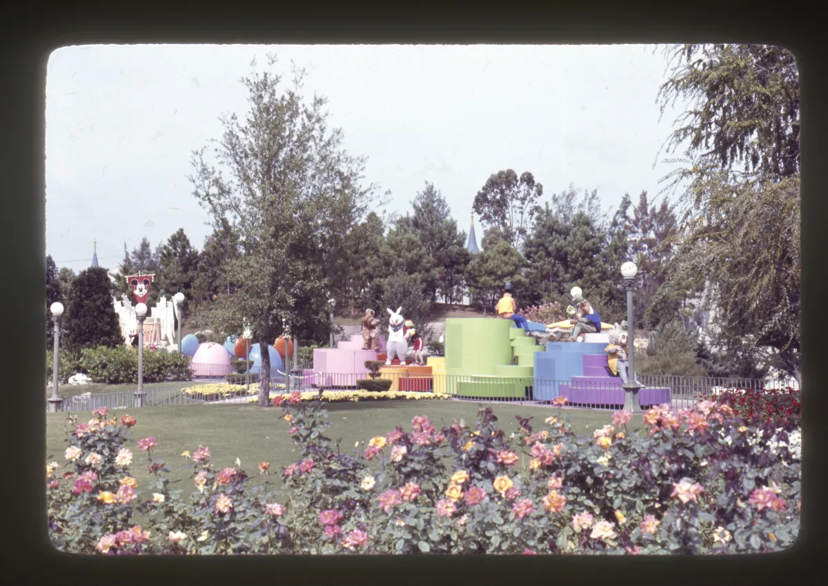 Reclaimed Slide