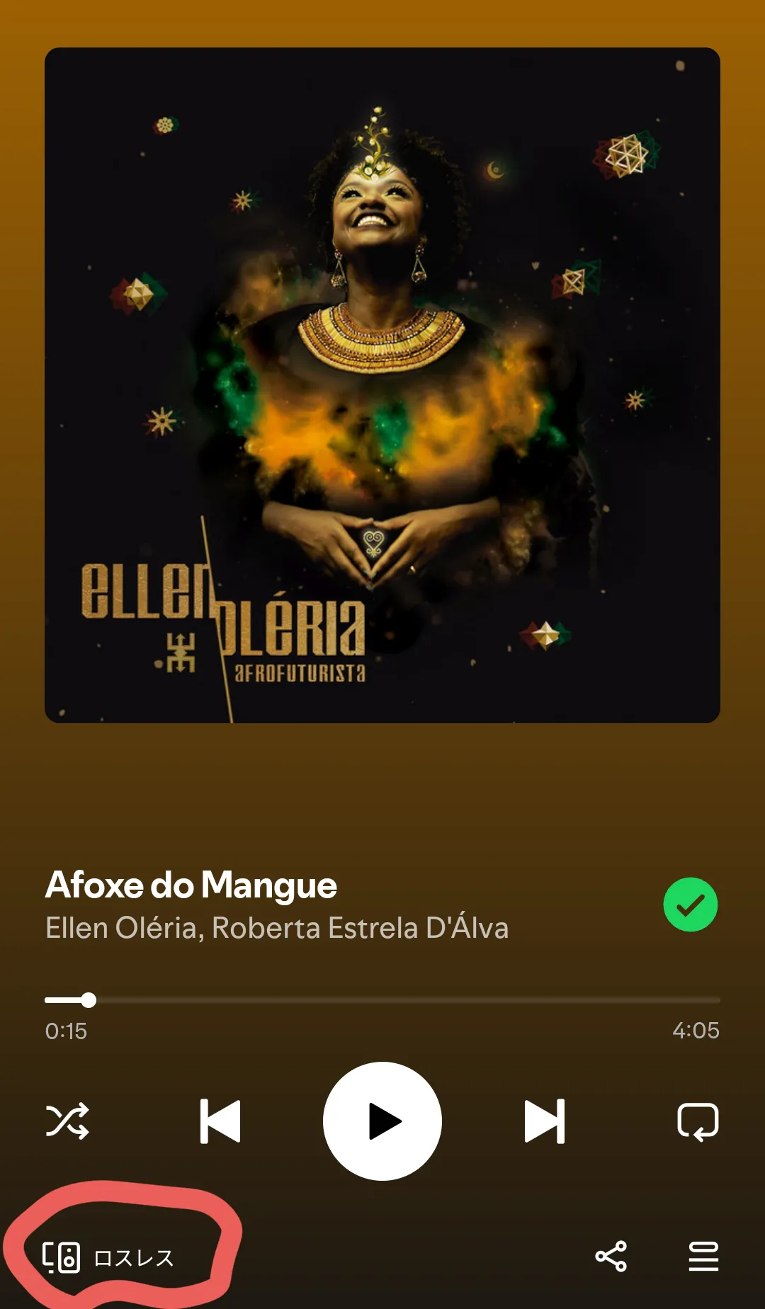 Spotify_lossless
