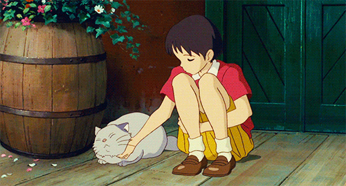 fe3142a036d3fad6c01daeef2fcf9376