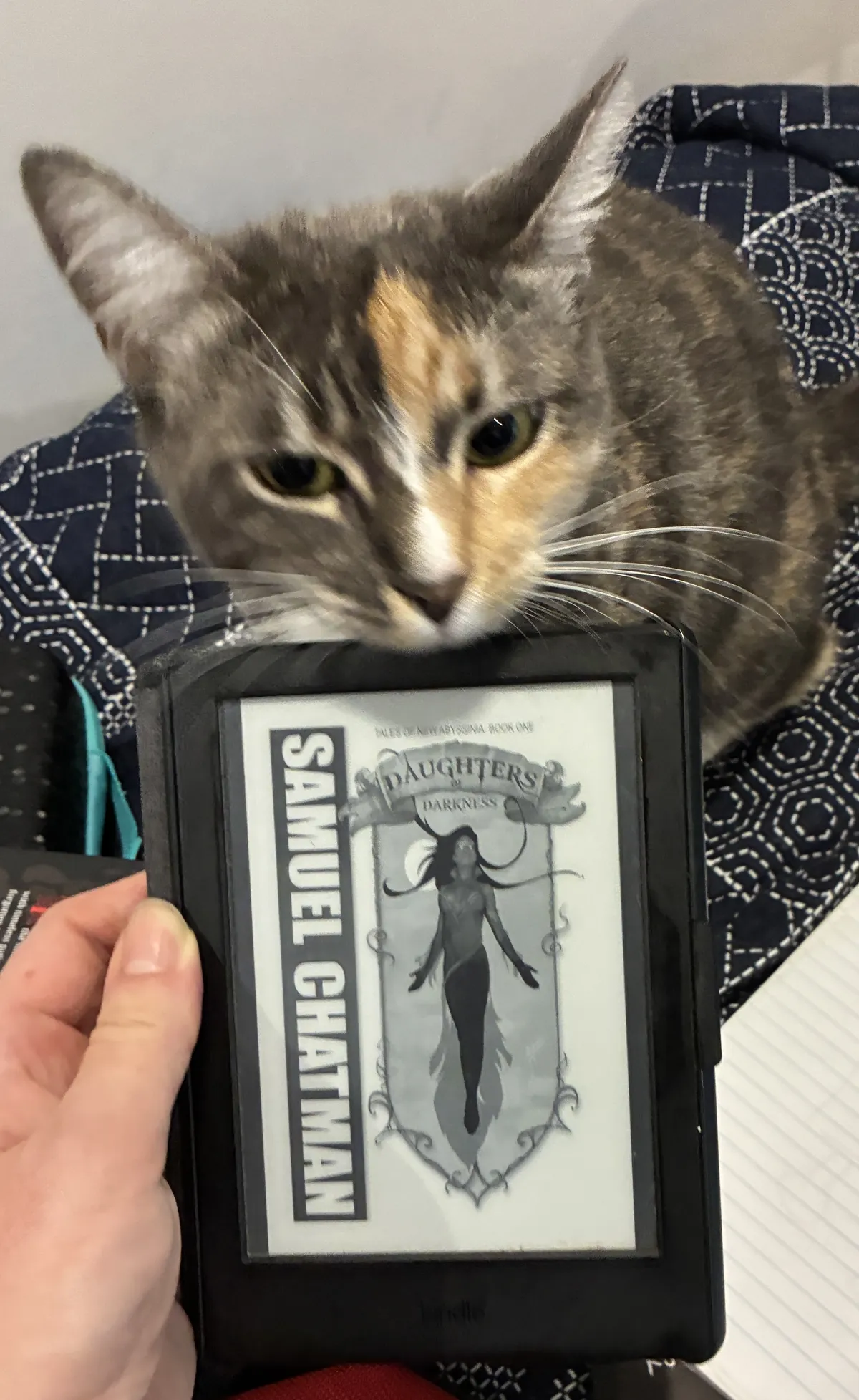 A cat starts at a Kindle, which displays the cover of Daughters of Darkness. The front cover shows a woman flying in a stylized shield frame.