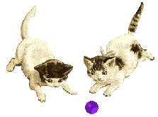 cats