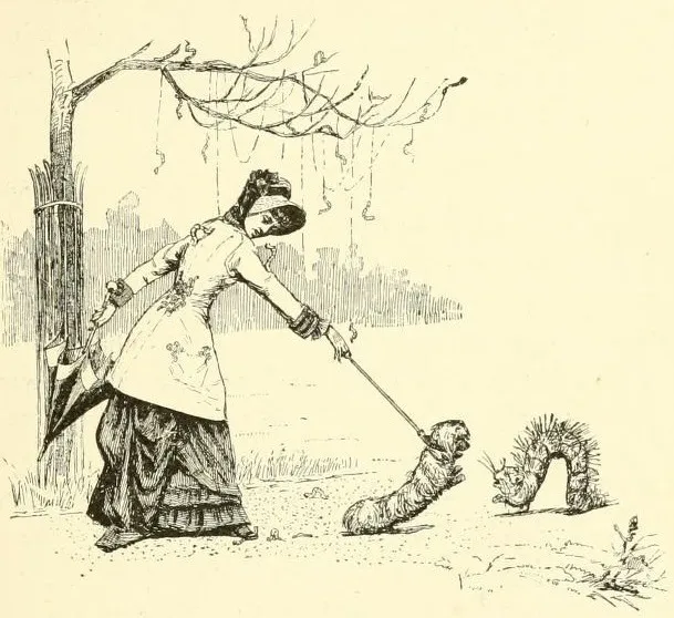 from Tenants of an Old Farm (1884) by Henry Christopher McCook