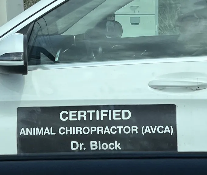 Animal Chiro