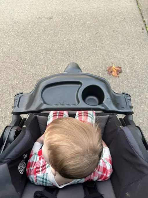 Brooks cutie on a donut mission