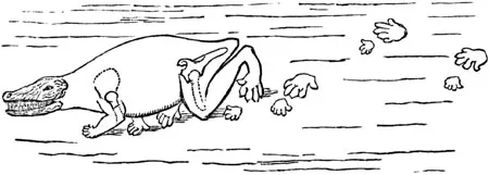 Owen's labyrinthodon outline in Lyell